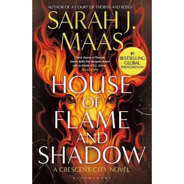House of Flame and Shadow (Paperback)