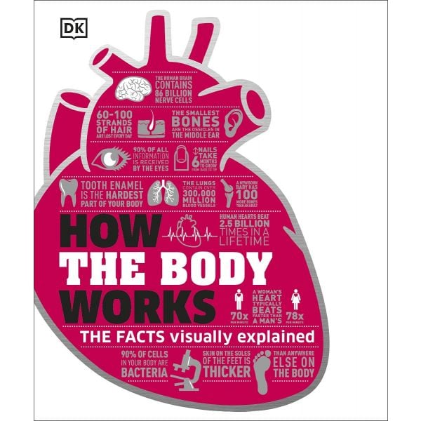 HOW THE BODY WORKS: The Facts Visually Explained