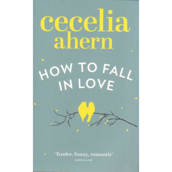 HOW TO FALL IN LOVE