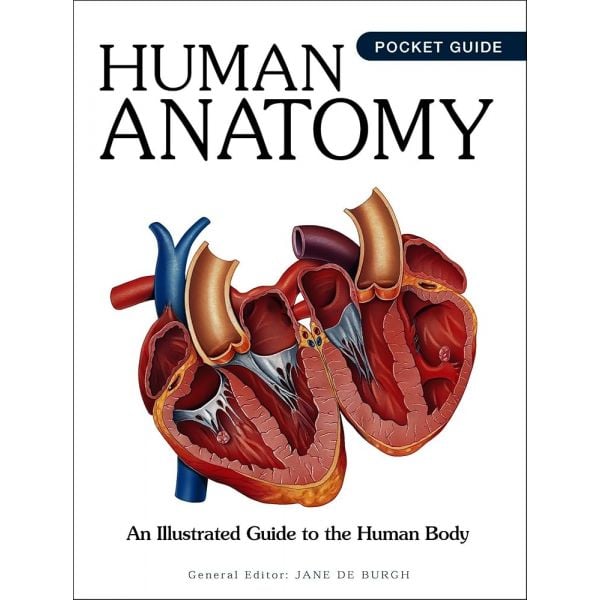 Human Anatomy (Pocket Edition)