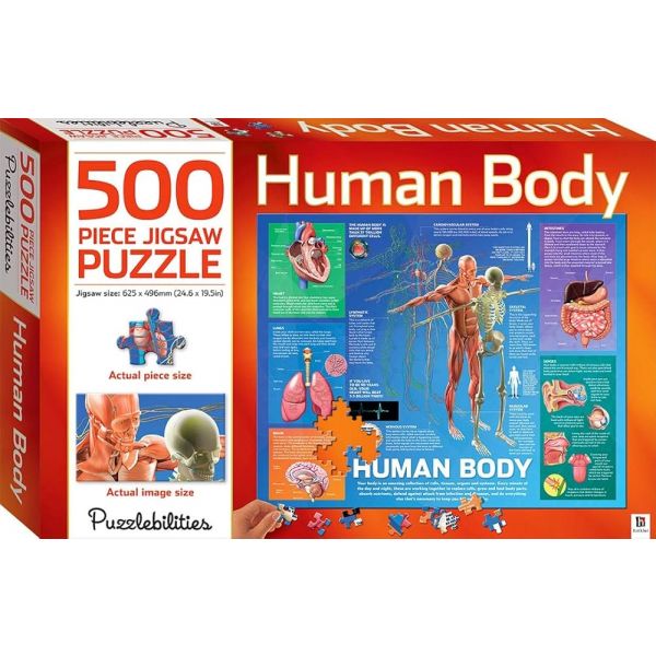Human Body: Book and 500 Piece Jigsaw Puzzle