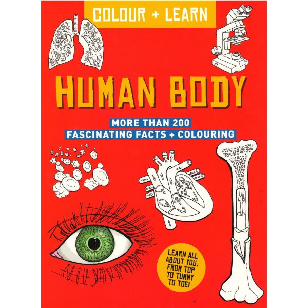 HUMAN BODY. “Colour + Learn“