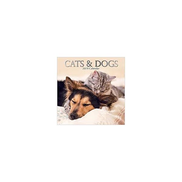 CATS & DOGS 2019. /стенен календар/