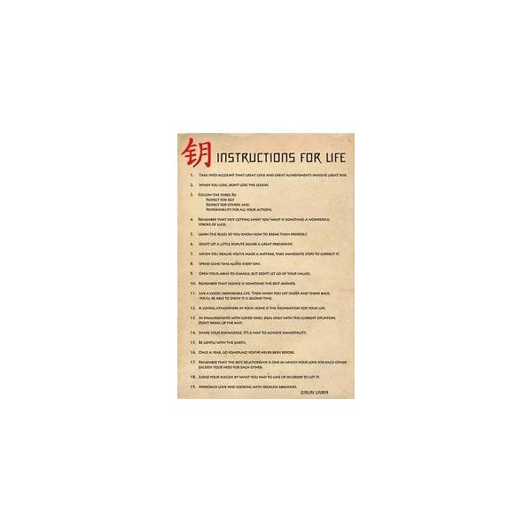 INSTRUCTIONS FOR LIFE MAXI POSTER