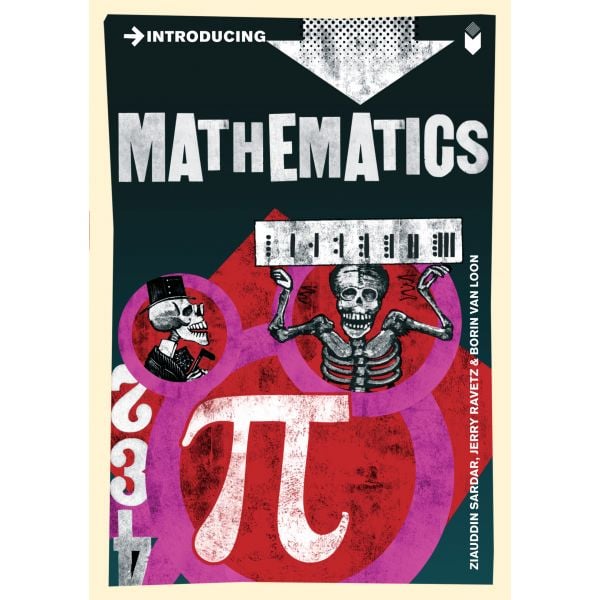 INTRODUCING MATHEMATICS: A Graphic Guide