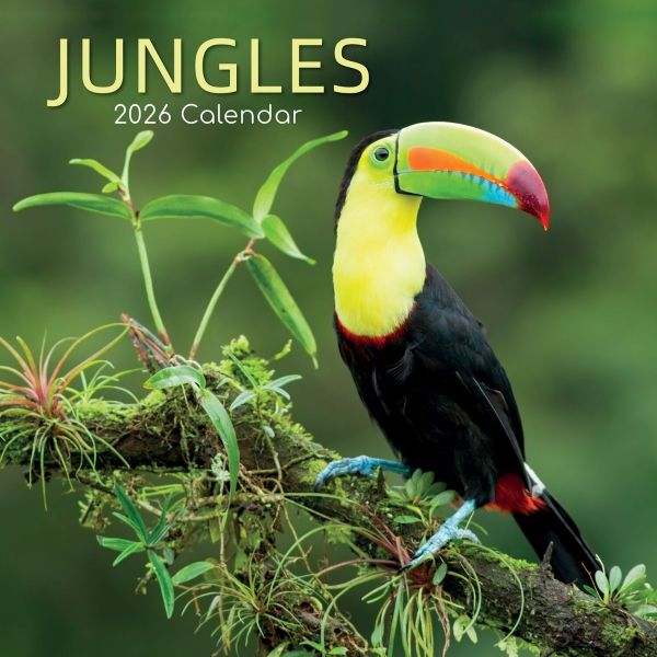 Jungles. 16-Month Square Wall Calendar 2026