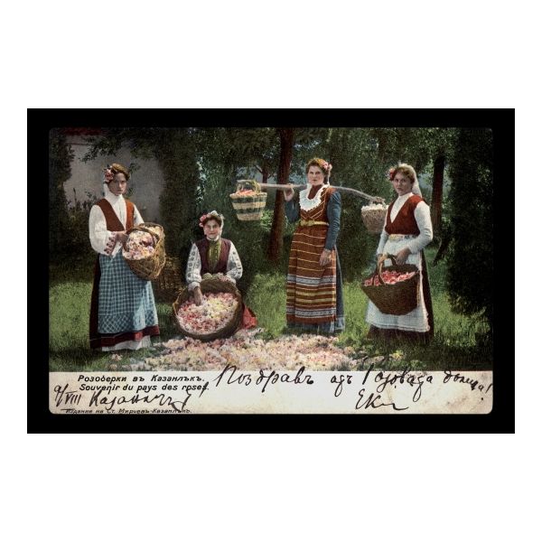 Картичка Розоберки - Казанлък / Women with baskets of rose petals - Kazanlak