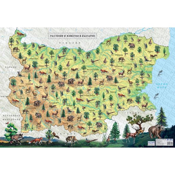 Карта на света - растения и животни. /лице/ Карта на България - растения и животни. /гръб/ Ламинирана