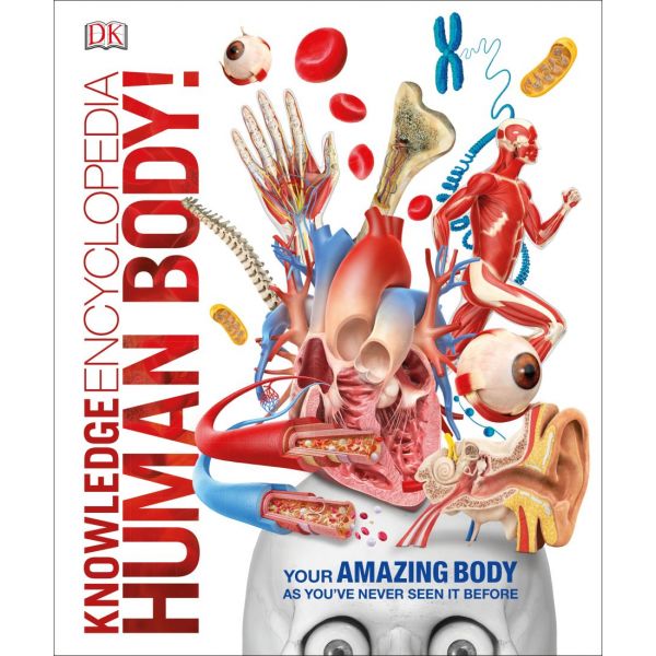 KNOWLEDGE ENCYCLOPEDIA HUMAN BODY!