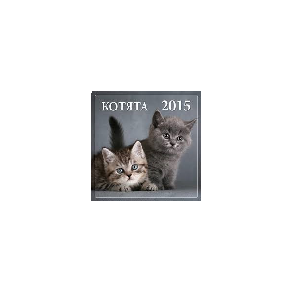Котята. Календарь настенный на 2015 год