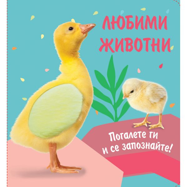 Пате - цветна, картонена + материали за докосване с различни текстури