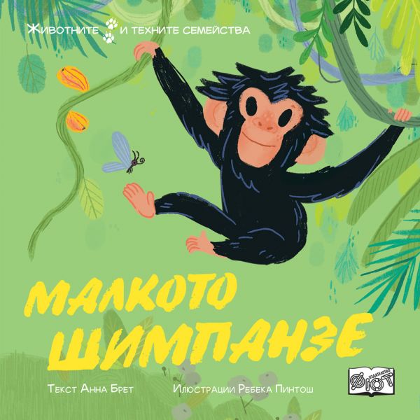 Малкото шимпанзе