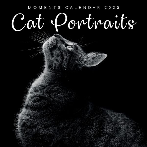 Moments Cat Portraits 16-Month Square Wall Calendar 2025