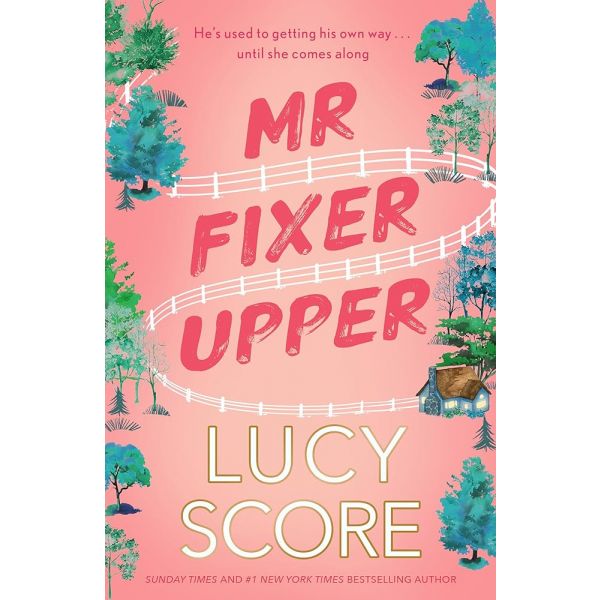 MR FIXER UPPER