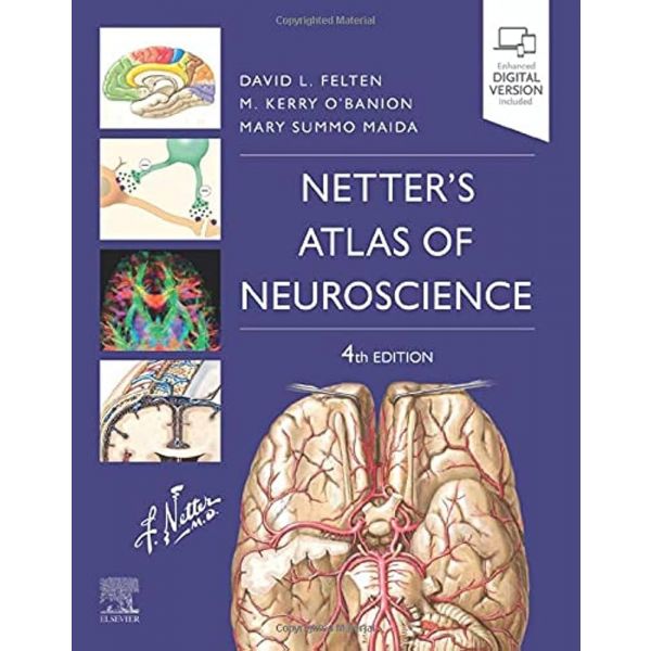 NETTER`S ATLAS OF NEUROSCIENCE
