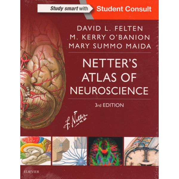 NETTER`S ATLAS OF NEUROSCIENCE, 3rd Edition