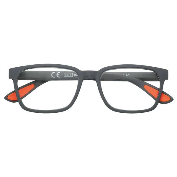 Очила за четене +1.00 /31Z-PR108-100/
