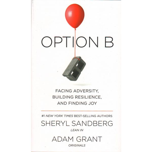 OPTION B: Facing Adversity, Building Resilience, and Finding Joy
