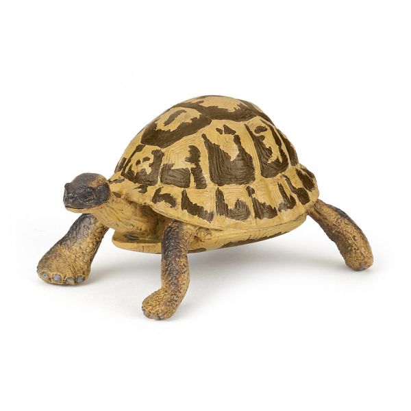 50264 Фигурка Hermann`s Tortoise