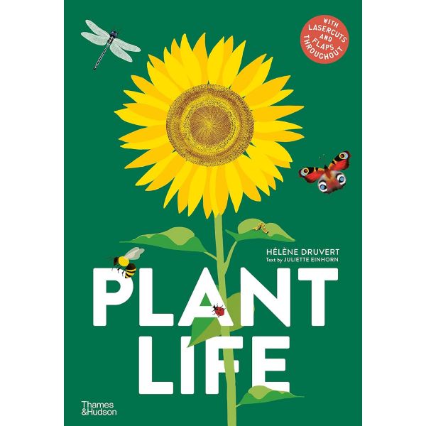 Plant Life