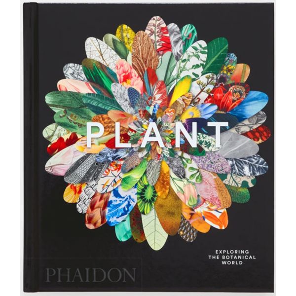 Plant: Exploring the Botanical World
