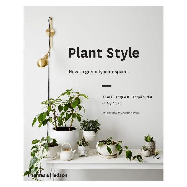 PLANT STYLE: How to Greenify Your Space