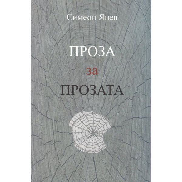 Проза за прозата