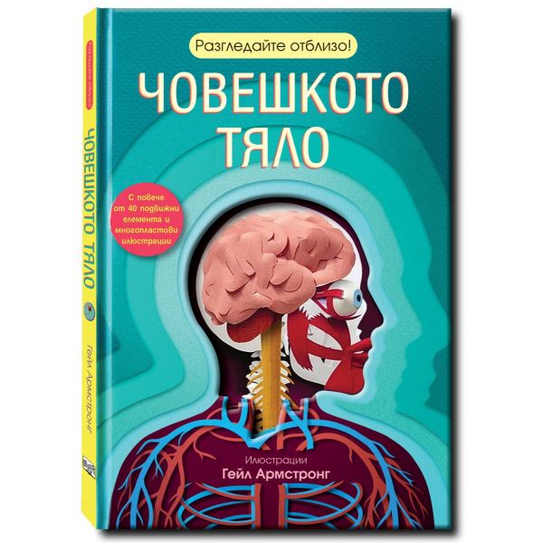 Разгледайте отблизо! Човешкото тяло