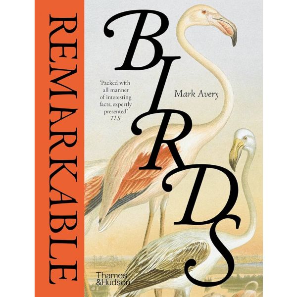 REMARKABLE BIRDS