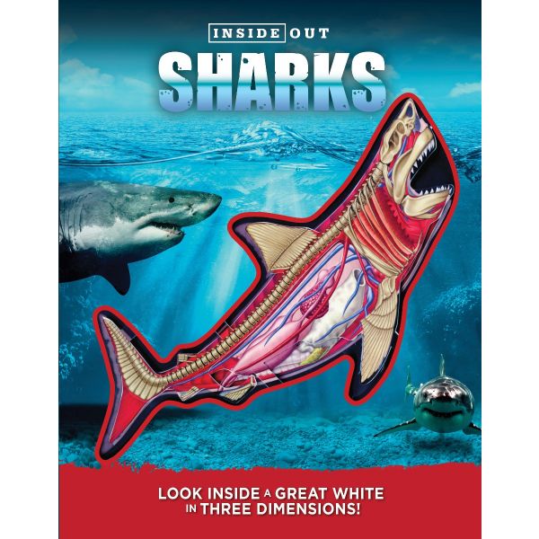 SHARKS. “Inside Out“
