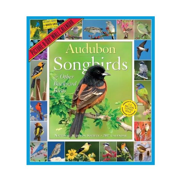 SONGBIRDS & OTHER BACKYARD BIRDS PICTURE-A-DAY CALENDAR 2017. /стенен календар/