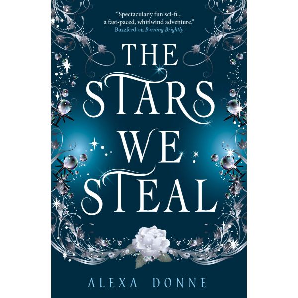 THE STARS WE STEAL