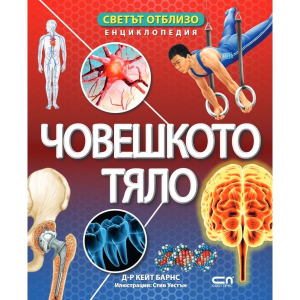 Светът отблизо: Човешкото тяло