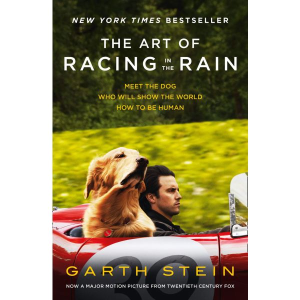 THE ART OF RACING IN THE RAIN