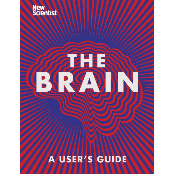 THE BRAIN: A User`s Guide