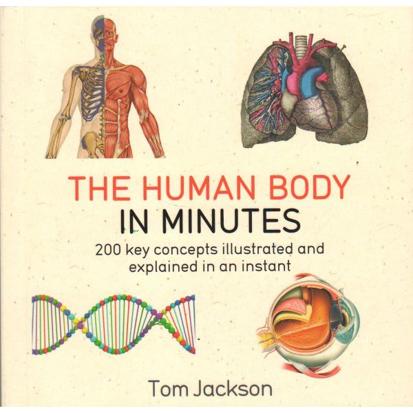 THE HUMAN BODY IN MINUTES