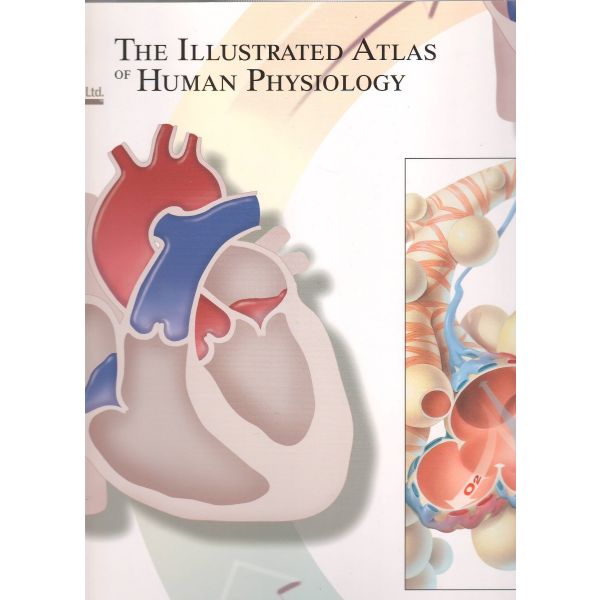 THE ILLUSTRATED ATLAS OF HUMAN PHYSIOLOGY: A Collection of 20 Anatomical Charts of Human Physiology