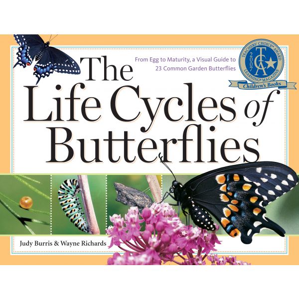 THE LIFE CYCLES OF BUTTERFLIES
