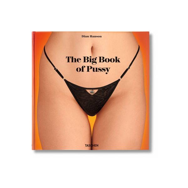 THE LITTLE BIG BOOK OF PUSSY