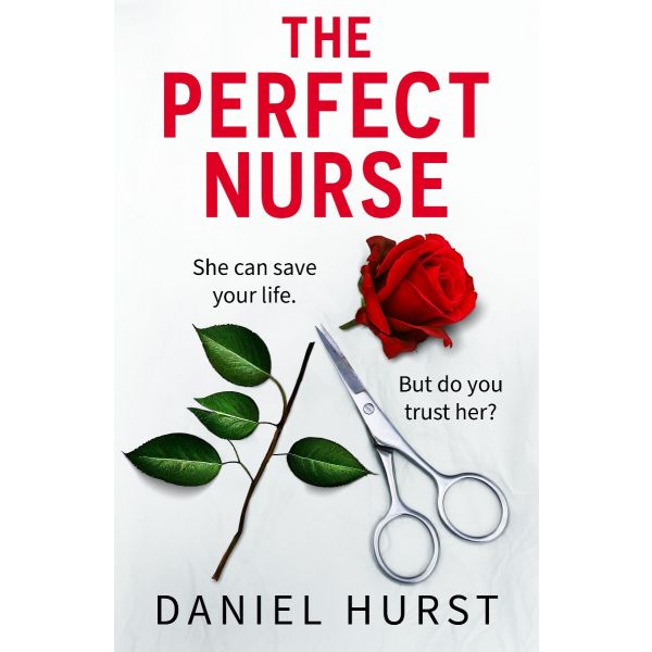 The Perfect Nurse