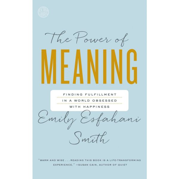 THE POWER OF MEANING