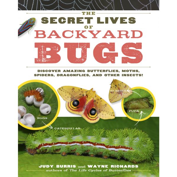 THE SECRET LIVES OF BACKYARD BUGS