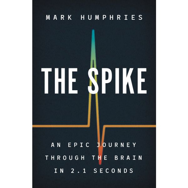 SPIKE : An Epic Journey Through the Brain in 2.1 Seconds