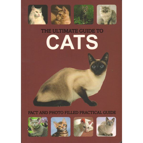 THE ULTIMATE GUIDE TO CATS