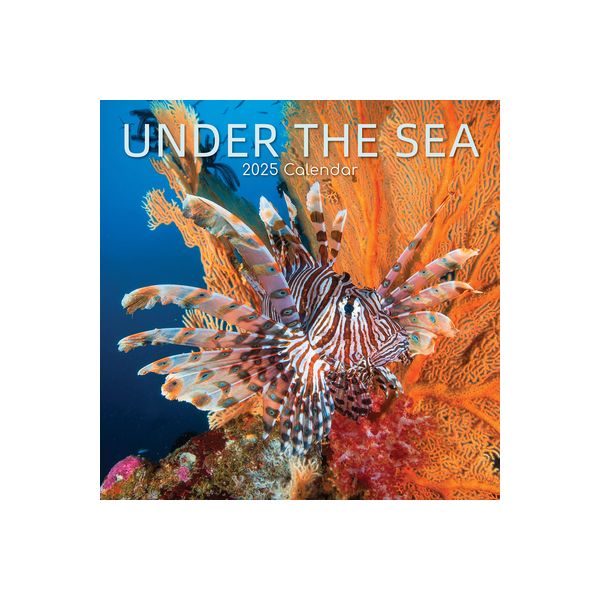 Under the Sea 16-Month Square Wall Calendar 2025