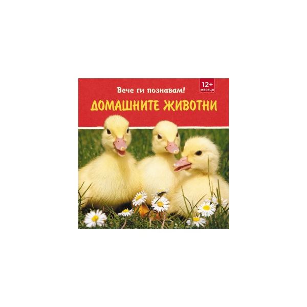 Домашните животни. “Вече ги познавам!“