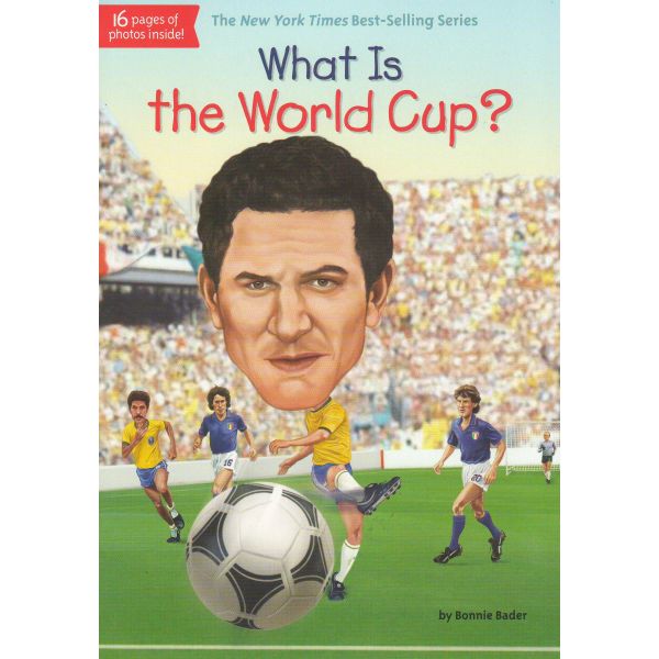 WHAT IS THE WORLD CUP?