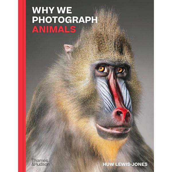 WHY WE PHOTOGRAPH ANIMALS