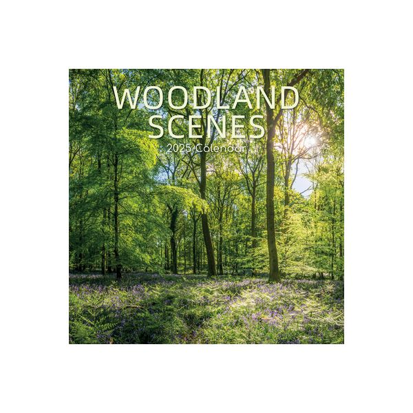 Woodland Scenes 16-Month Square Wall Calendar 2025