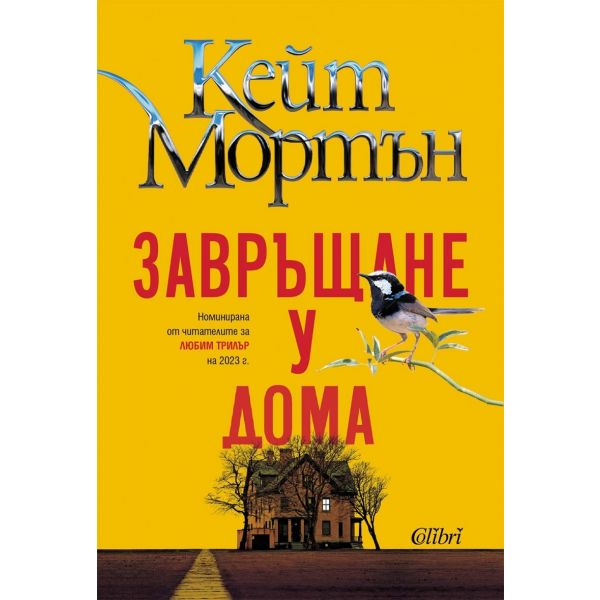 Завръщане у дома